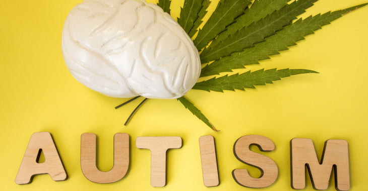 The Benefits Of CBD Oil For People With Autism