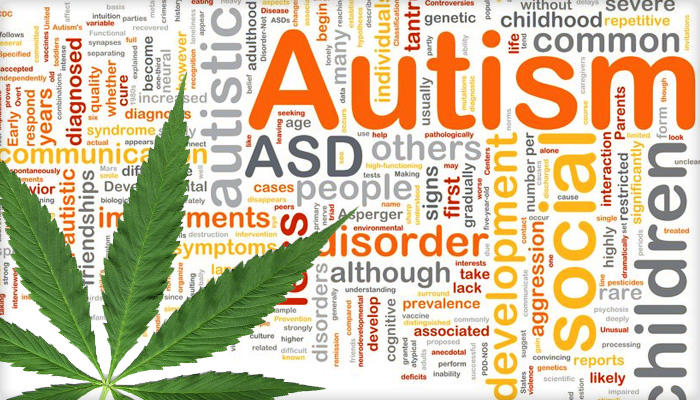 I Give My Son, Who Is 7, CBD Oil To Treat His Autism